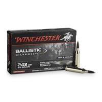 Winchester Supreme Ballistic Silvertip, .243 Winchester, BST, 95 Grain, 20 Rounds