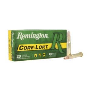 Remington Core-Lokt .30-30 Winchester 170 Grain Hollow Point Centerfire Rifle Ammo