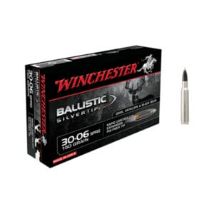 Winchester Ballistic Silvertip Centerfire Rifle Ammo - .22-250 Remington - 55 Grain