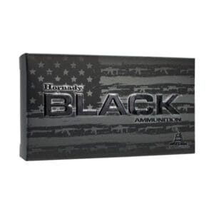 Hornady BLACK .300 AAC Blackout 110 Grain Centerfire Rifle Ammo