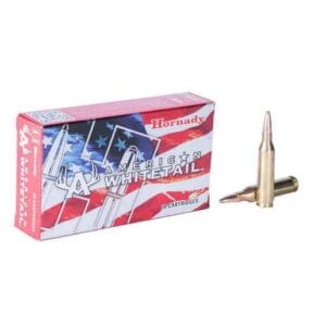 Hornady American Whitetail 243 Winchester 100gr Interlock BTSP Rifle Ammo - 20 Rounds