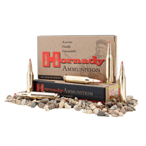 Hornady Custom .300 AAC Blackout FTX 135 Grain 20 Rounds