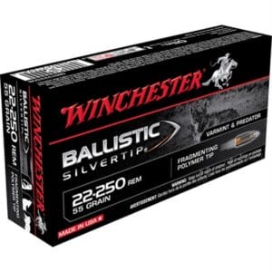 Ballistic Silvertip 22-250 Remington Rifle Ammo - 22-250 Remington 55gr Ballistic Silvertip 20/Box