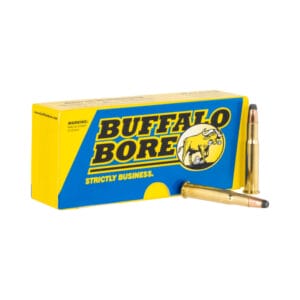 Buffalo Bore .30-30 Winchester 190 Grain Centerfire Rifle Ammo