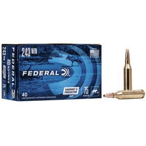 Federal American Eagle Varmint & Predator Rifle Ammunition .243 Win 75 gr JHP 3375 fps 40/ct