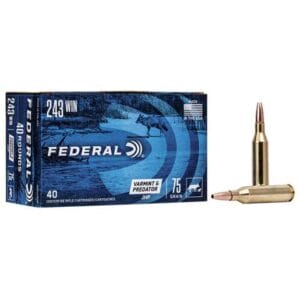 Federal American Eagle Varmint/Predator 243 Winchester 75gr JHP Rifle Ammo - 40 Rounds