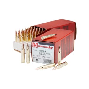 ++HORN TRAINING FMJ 223 REM