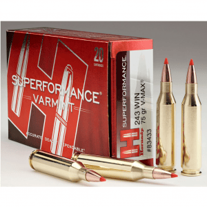 HORNADY Superformance Varmint 243 Win 75gr V-MAX 20rd Ammo (83433)