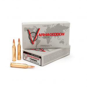 NOSLER Varmageddon .17 Rem 20Gr FBT 20rd Box Rifle Ammo (65105)