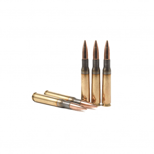 PMC Bronze 50 BMG 660 Grain FMJ Boat Tail Ammo, 10 Round Box (50A)