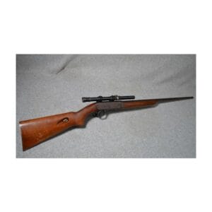 Remington ~ Speedmaster ~ 22 Long Rifle