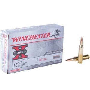 Winchester Super-X 30-06 Springfield 125gr PSP Rifle Ammo - 20 Rounds